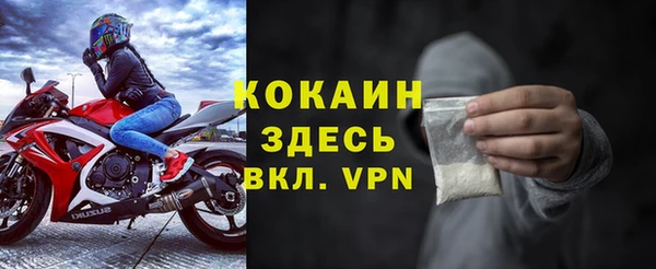 индика Михайловка