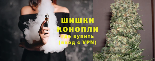 гидра Михайловск