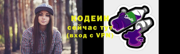 индика Михайловка