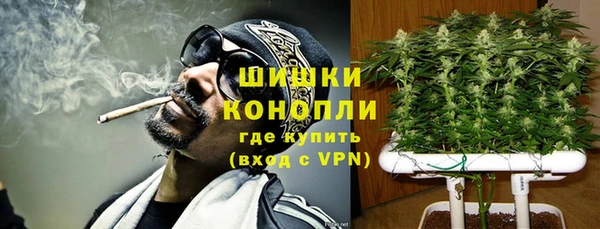 гидра Михайловск