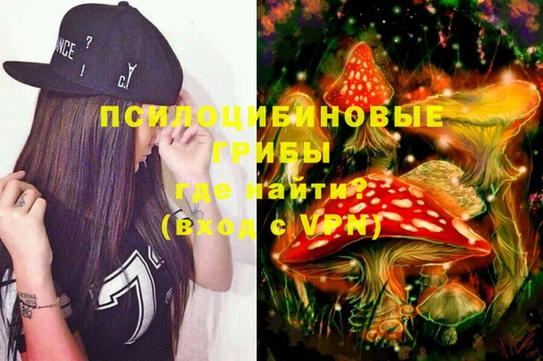 индика Михайловка