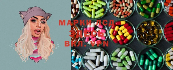 индика Михайловка
