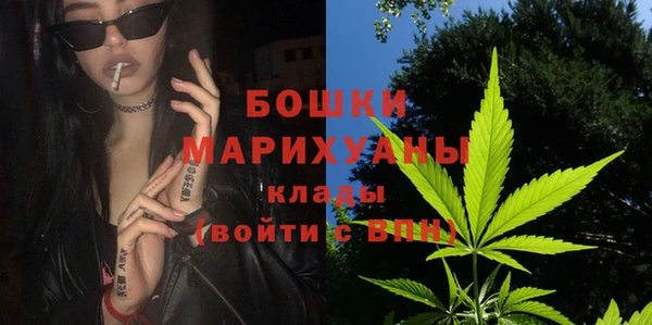 гидра Михайловск