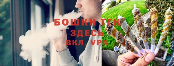 гидра Михайловск