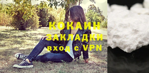 гидра Михайловск