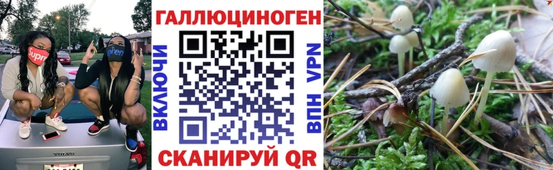 Галлюциногенные грибы ЛСД  Купить где  Енисейск 
